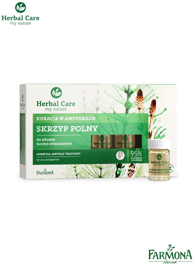 فارمونا هيربال كير أمبولات عشبة ذيل الحصان للشعر المتضرر بشدة 5x5مل - Image 2