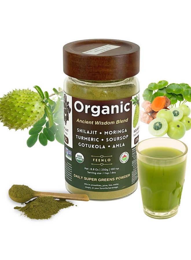 Organic Non-GMO Moringa, Shilajit, Turmeric, Soursop, Gotukola, and Amla Green Juice Blend Powder, 3-Month Supply - Image 2