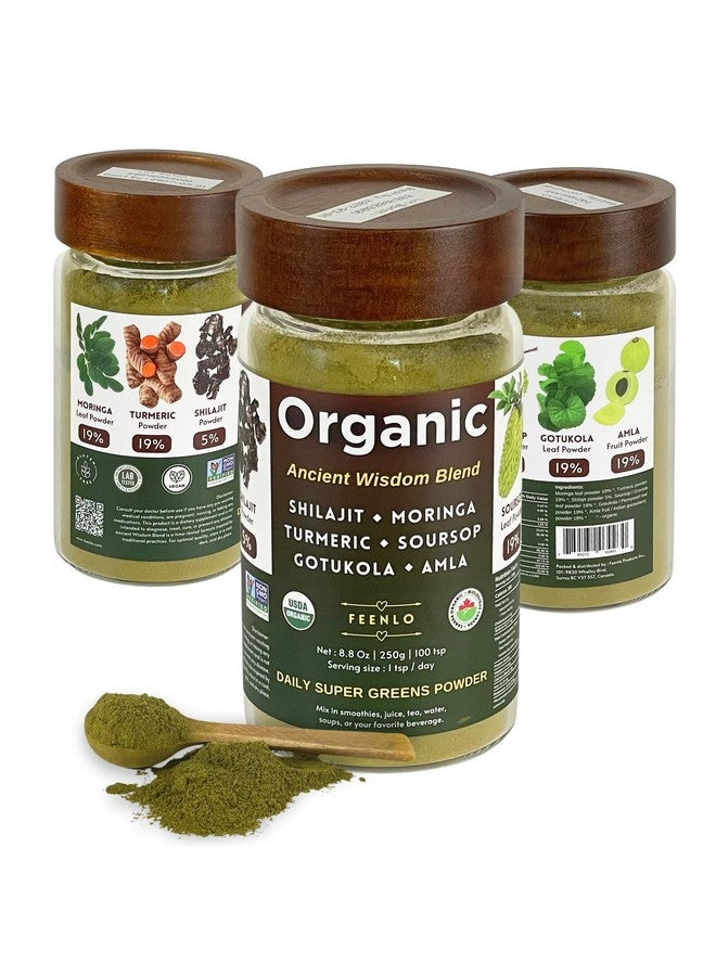 Organic Non-GMO Moringa, Shilajit, Turmeric, Soursop, Gotukola, and Amla Green Juice Blend Powder, 3-Month Supply - Image 1