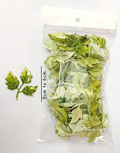 SHREYAS Artificial Glossy Leaf (Green, 50 Bunch) ,Artificial Flora ,(Pack of 1) - Image 5