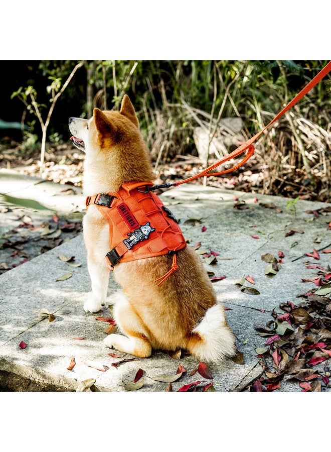 OneTigris Handled No-Pull Dog Walking Leash Long Traffic Leads for Medium to Large Dogs (Orange, 6FT) - Image 2