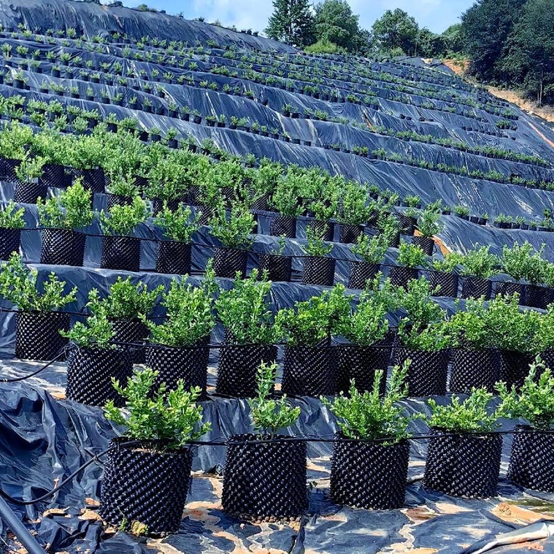 RooTrimmer 5 Gallon Air Pruning Containers, Roots Control Planter New Plastic Nursery Pots Fruit Vegetable Orchard Garden Self-Planting Pots, Size 12"x12", Black, (10P) - Image 2