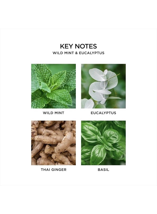 Nest New York NEST Fragrances Wild Mint & Eucalyptus Wall Diffuser Refill, Set of 2  - Image 4