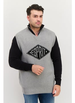 Men V-Neck Brand Logo Long Sleeveless Vest, Grey