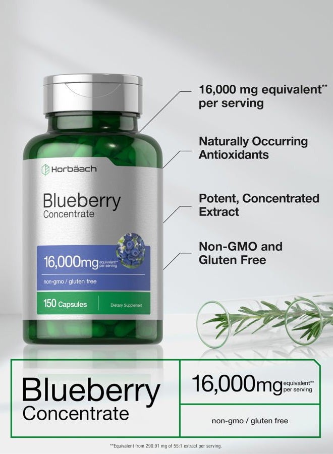 Horbäach Blueberry Extract Supplement | 150 Capsules | Blueberry Concentrate | Non-GMO, Gluten Free - Image 4