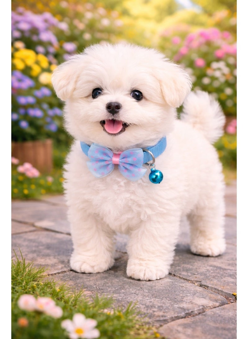 Petto Adjustable Blue Dot Print Bowknot Pet Collar with Bell – Cute Necklace for Small Dogs - Image 5