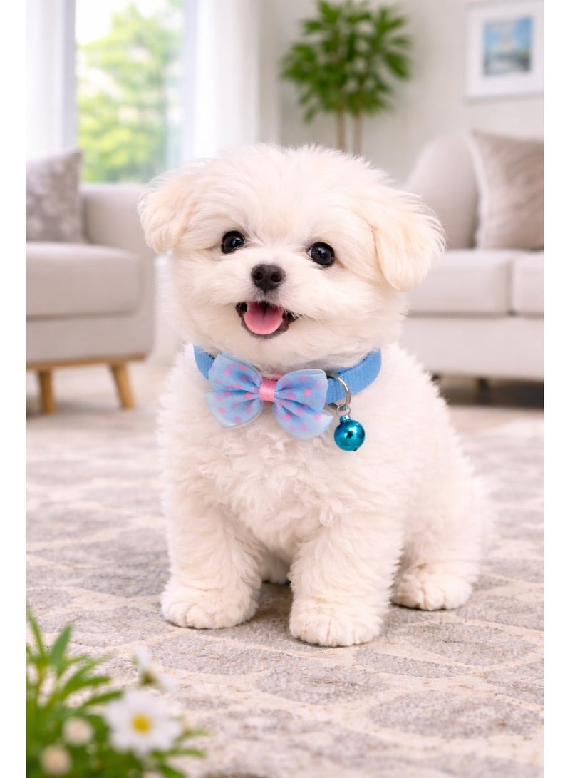 Petto Adjustable Blue Dot Print Bowknot Pet Collar with Bell – Cute Necklace for Small Dogs - Image 2