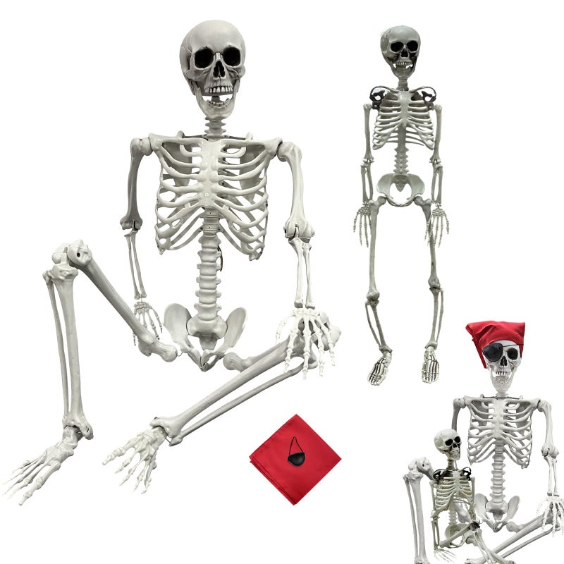 IDMOP 54ft165cm Halloween Skeleton  Life Size Skeleton Full Body Realistic Human Bones with Posable Joints for Halloween Pose Skeleton Prop Decoration 54Ft3Ft