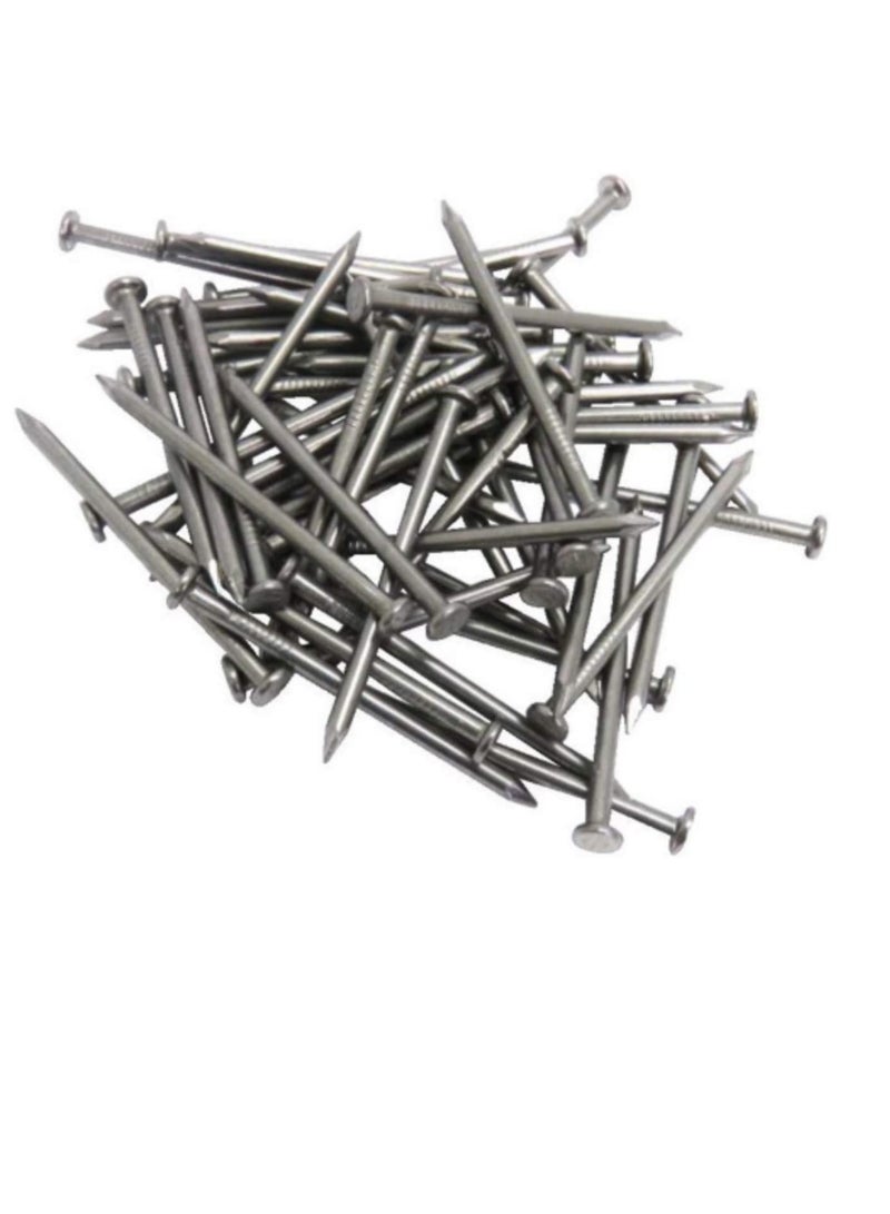 High Strength Round Head Nails For Carpentry Hardware Electrical Etc (600, 2 inch) - Image 2