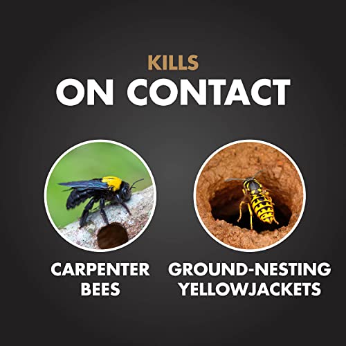Spectracide Terminate Termite Killing Foam, Kills Exposed Subterranean, Drywood and Dampwood Termites On Contact, for Insects, 16 fl Ounce - Image 2