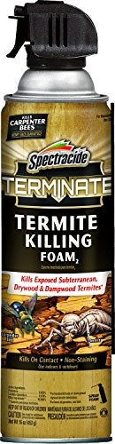 Spectracide Terminate Termite Killing Foam, Kills Exposed Subterranean, Drywood and Dampwood Termites On Contact, for Insects, 16 fl Ounce - Image 1