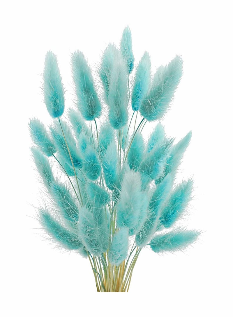 Natural Bunny Tails Dried Flowers, 70 Pcs Dried Lagurus Ovatus, Dried Pampas Grass Decor for Farmhouse Flower Arrangements Wedding Home Boho Party Decorations(Tiff Blue) - Image 1