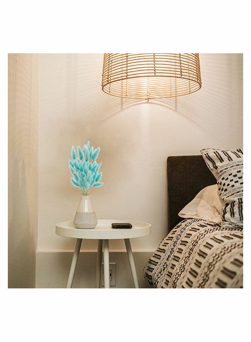 Natural Bunny Tails Dried Flowers, 70 Pcs Dried Lagurus Ovatus, Dried Pampas Grass Decor for Farmhouse Flower Arrangements Wedding Home Boho Party Decorations(Tiff Blue) - Image 3