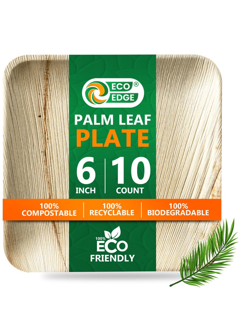 EcoEdge 6 Inch Square Areca Palm Leaf Disposable Plates (Pack of 10) | BPA Free | Biodegradable, Eco-Friendly, Plant Based and Organic | Disposable Plates for Snacks and Desserts | 100% Compostable - Image 1