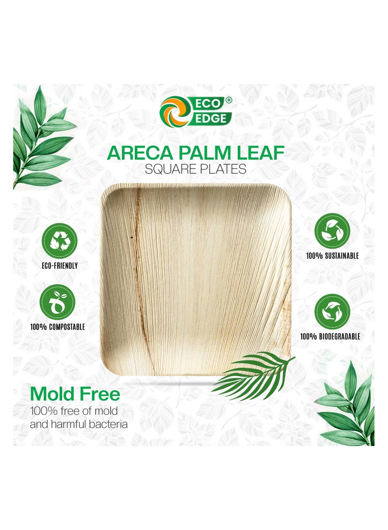 EcoEdge 6 Inch Square Areca Palm Leaf Disposable Plates (Pack of 10) | BPA Free | Biodegradable, Eco-Friendly, Plant Based and Organic | Disposable Plates for Snacks and Desserts | 100% Compostable - Image 3