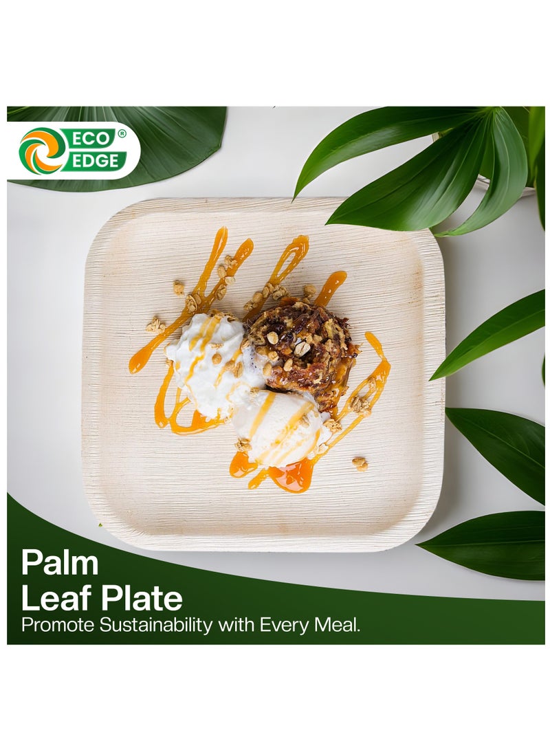 EcoEdge 6 Inch Square Areca Palm Leaf Disposable Plates (Pack of 10) | BPA Free | Biodegradable, Eco-Friendly, Plant Based and Organic | Disposable Plates for Snacks and Desserts | 100% Compostable - Image 4