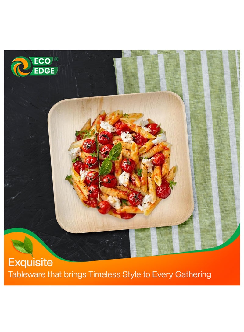 EcoEdge 6 Inch Square Areca Palm Leaf Disposable Plates (Pack of 10) | BPA Free | Biodegradable, Eco-Friendly, Plant Based and Organic | Disposable Plates for Snacks and Desserts | 100% Compostable - Image 2