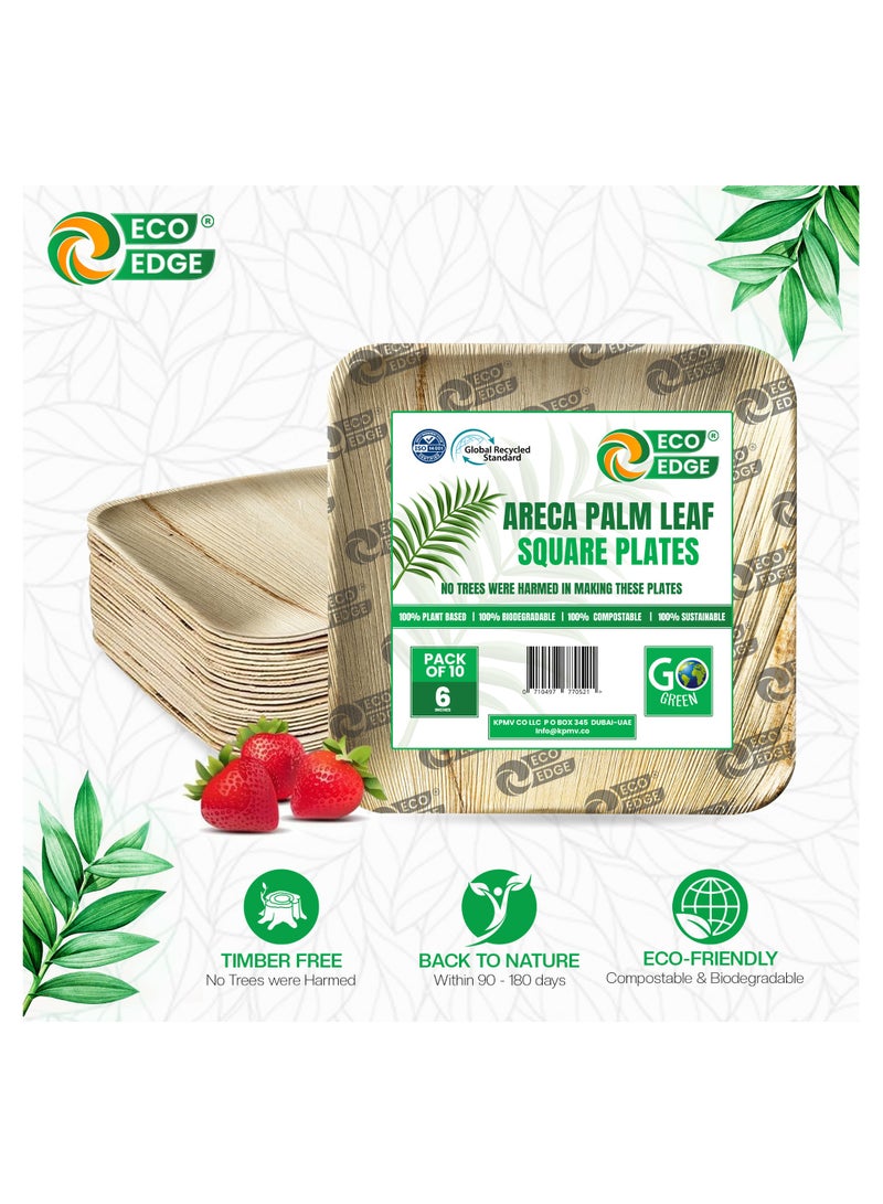 EcoEdge 6 Inch Square Areca Palm Leaf Disposable Plates (Pack of 10) | BPA Free | Biodegradable, Eco-Friendly, Plant Based and Organic | Disposable Plates for Snacks and Desserts | 100% Compostable - Image 5