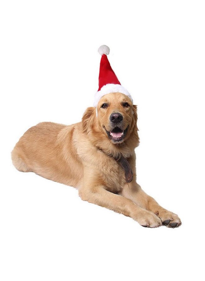 Wiz BBQT - Adjustable 3D Christmas Santa Hat for Dogs Cats (Large) - Image 1