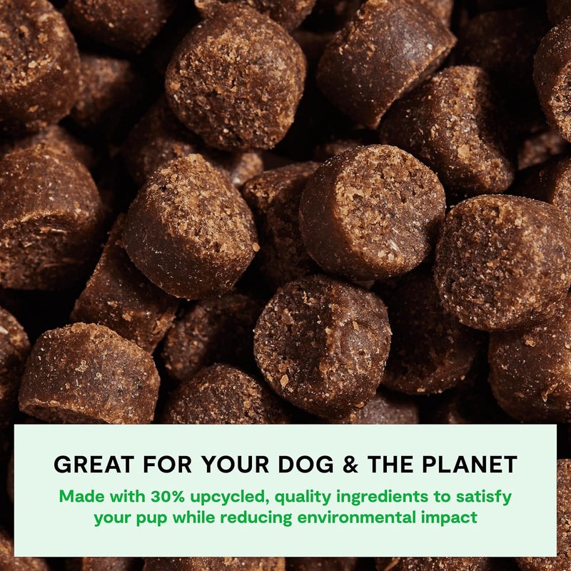 Open Farm, Be Good Bites, Soft Dog Training Treats, Small & Chewy, Made with Ethically & Sustainably Sourced Ingredients, Non-GMO Fruits & Grains, Grass-Fed Beef Recipe, 6oz Pouch - Image 3