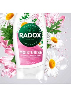 Unilever Radox Moisturise Shower Cream 250Ml  - Image 4