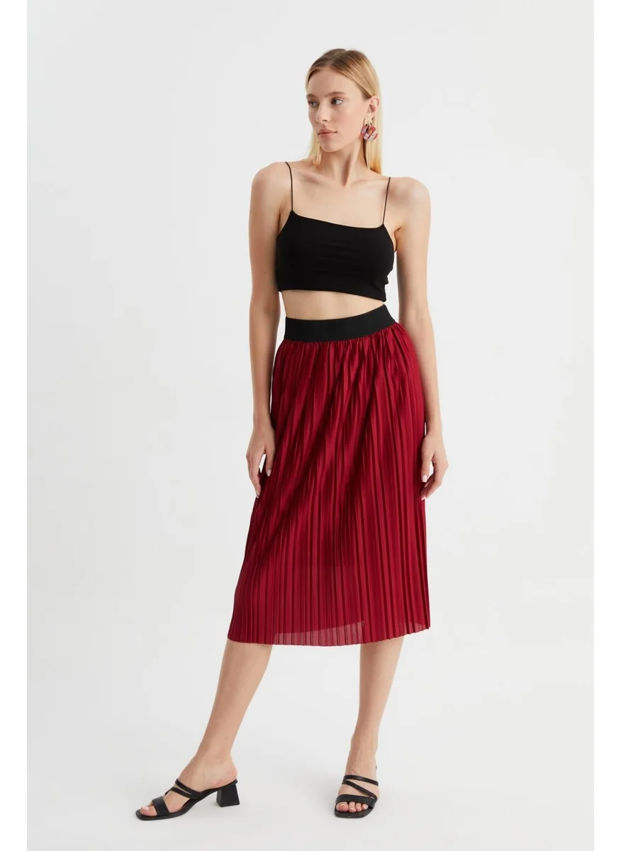 Alexander Gardi Pleated Midi Skirt (B22-430A)