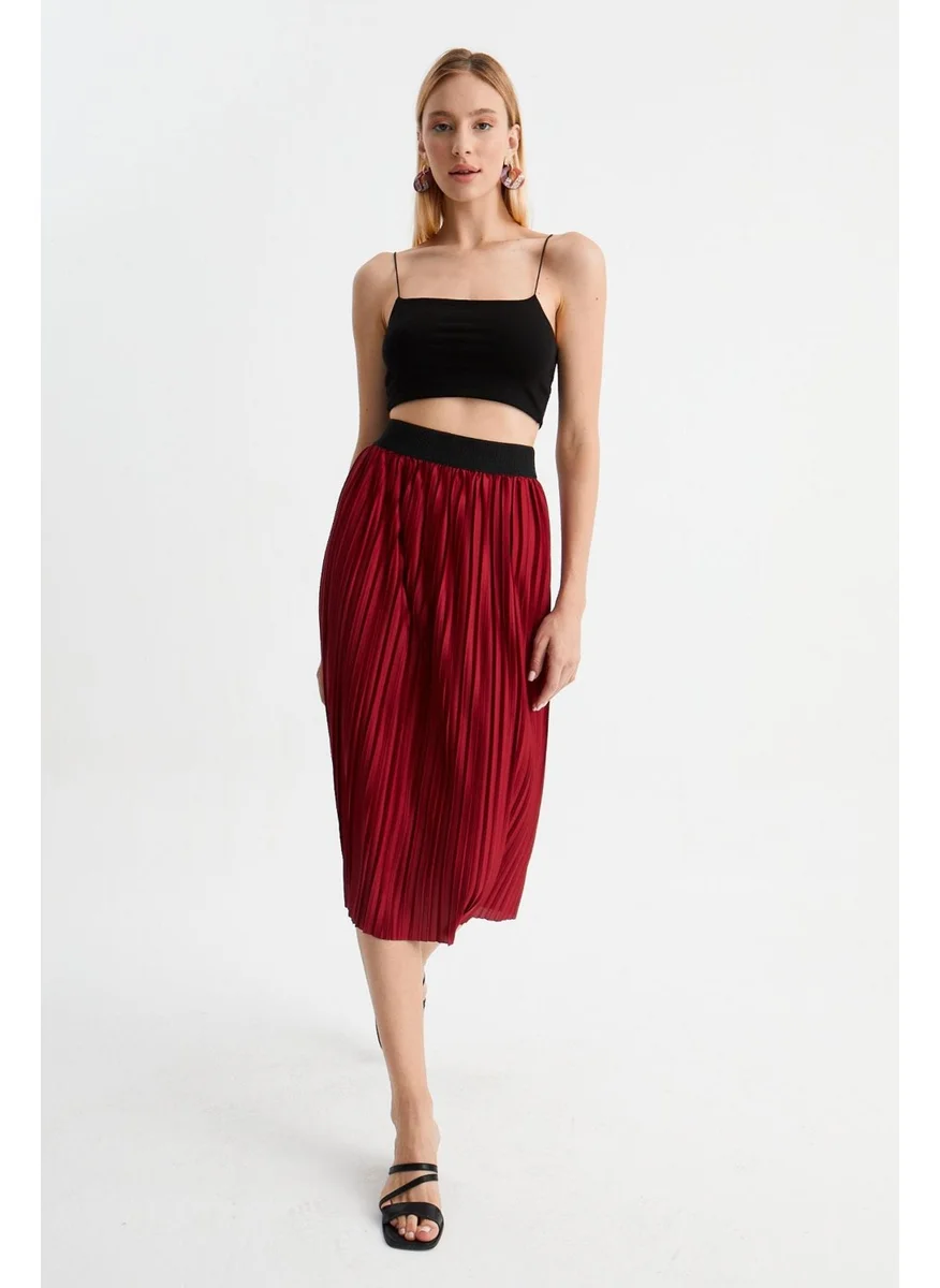 الكسندر جاردي Pleated Midi Skirt (B22-430A)