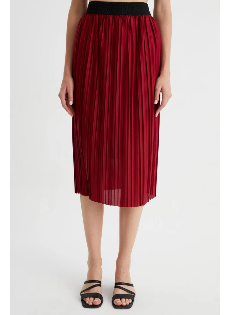 Alexander Gardi Pleated Midi Skirt (B22-430A)