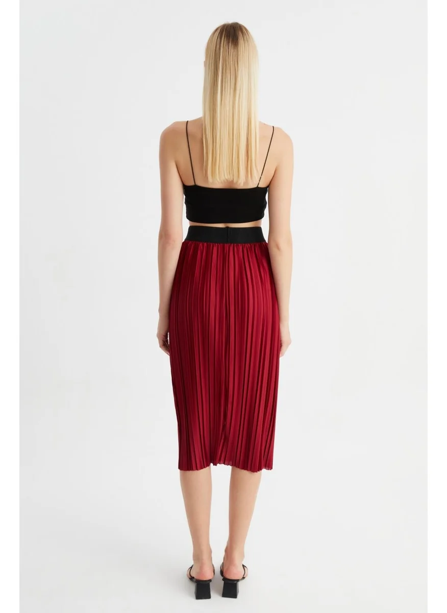 Alexander Gardi Pleated Midi Skirt (B22-430A)