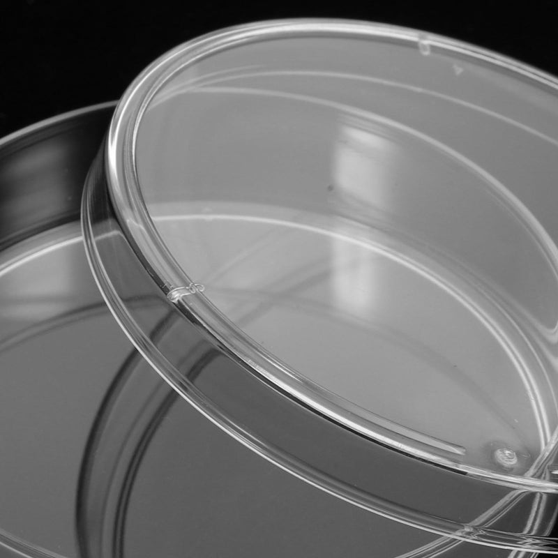 6cm Petri Dishes with Lids 10pcs Laboratory Agar Culture Plates for Cell Culture Microbiology Experiments - Image 5
