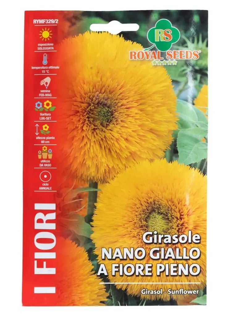 بذور عباد الشمس القزمة الصفراء كاملة التزهير من رويال سيدز عبوة من 3 قطع (3 جرام) - Image 1