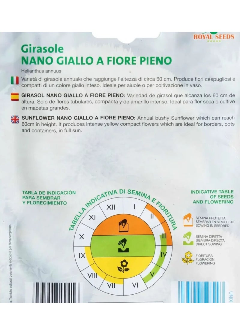 بذور عباد الشمس القزمة الصفراء كاملة التزهير من رويال سيدز عبوة من 3 قطع (3 جرام) - Image 3