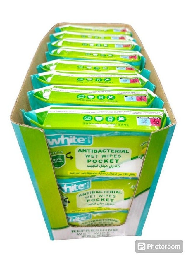 White ANTIBACTERIAL MINI WET WIPES 24 POCKET  - Image 1