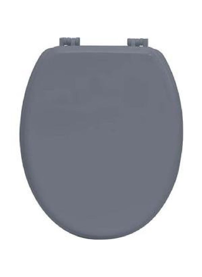 Tendance - MDF Wood Toilet Seat with Fixing Kit Matte Grey 18 Inch 4101180 - Image 1