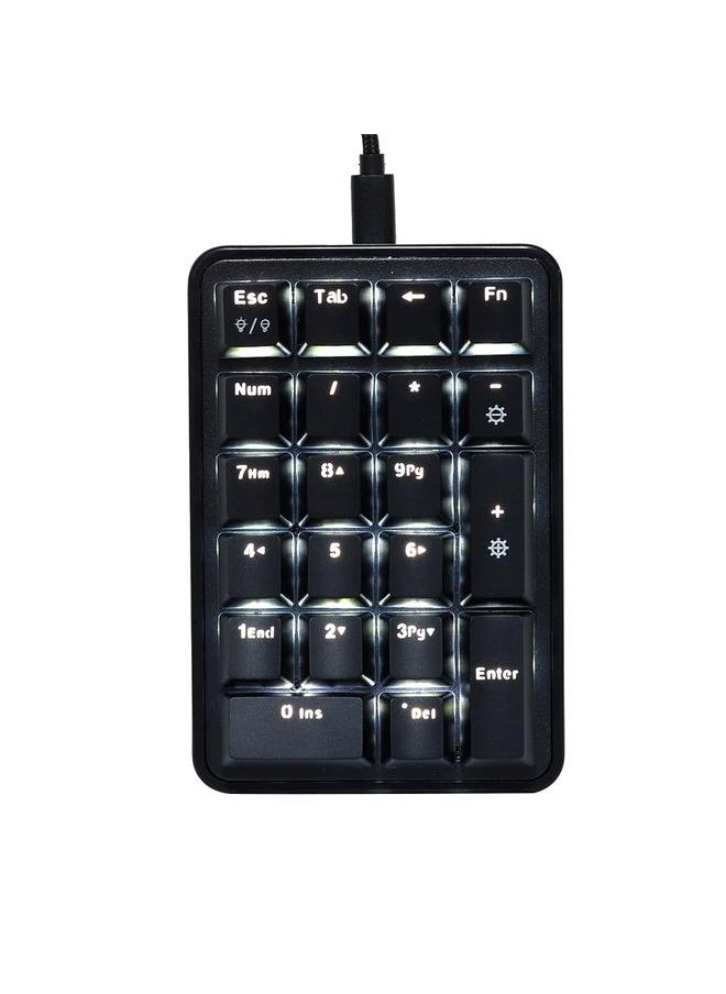 Ajazz AK21 Mini Wired USB Free Switching Digital Numpad Keyboard TypE C Receiver 21-key(Square)
