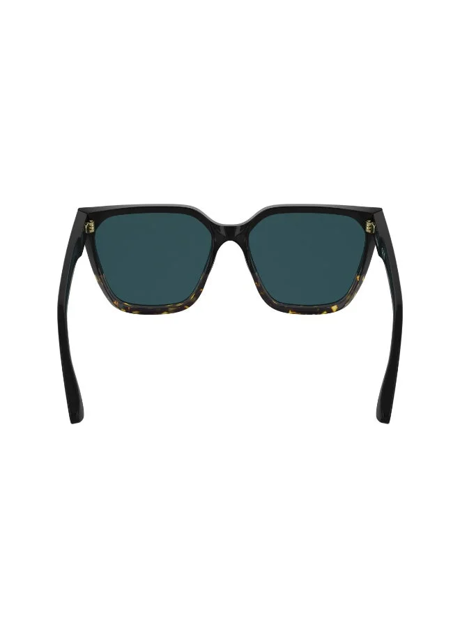 Calvin Klein  FULL RIM ACETATE CALVIN KLEIN SUN CK25500S  | Best Price UAE