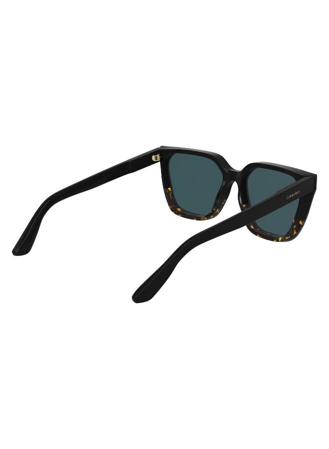 CALVIN KLEIN FULL RIM ACETATE CALVIN KLEIN SUN CK25500S - Image 5