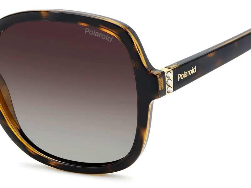 Polaroid Square Sunglasses Frames