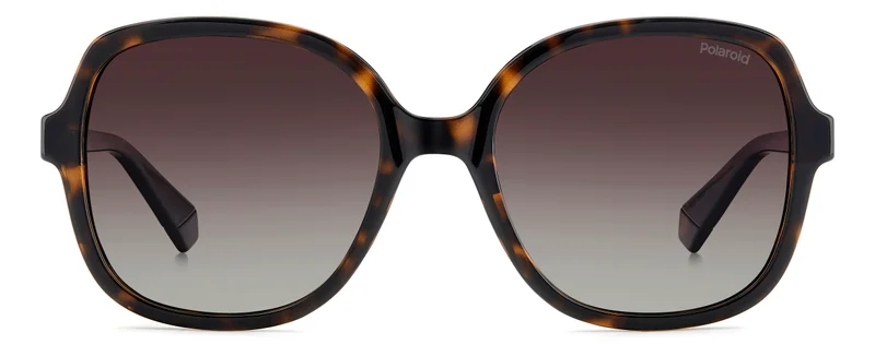 Polaroid Square Sunglasses Frames