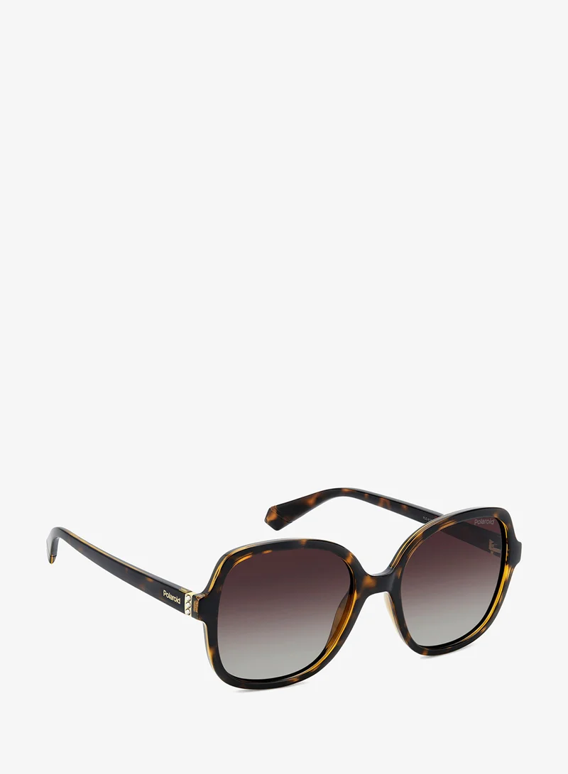 Polaroid Square Sunglasses Frames