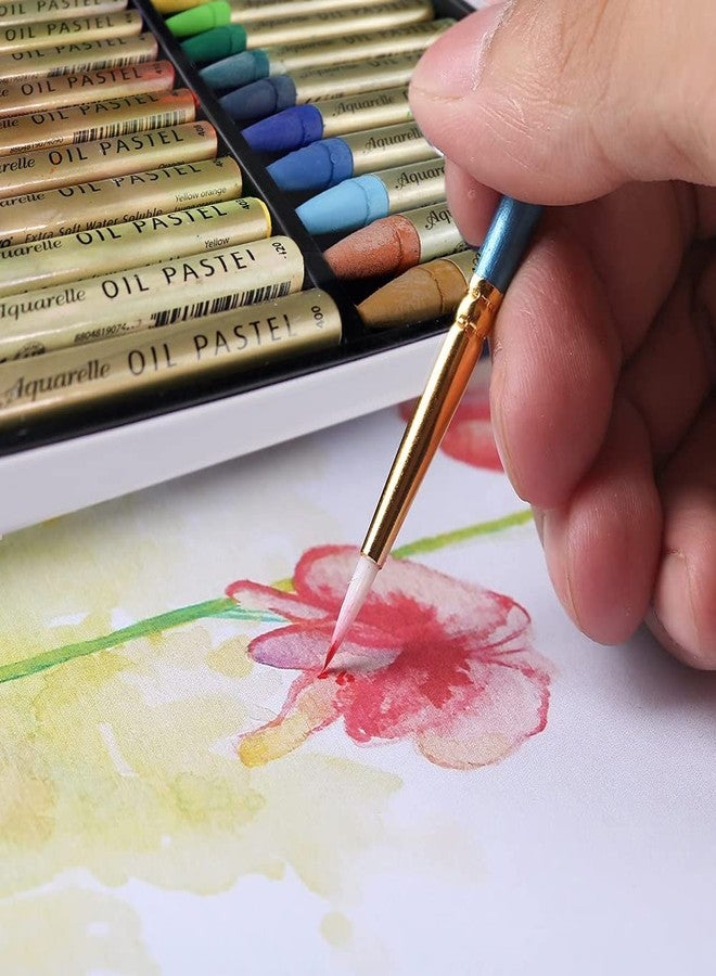 Hashi HA SHI Water-Soluble Oil Pastels for Artists 24 Colors, Soft Watercolor Art Sticks, Premium Art Supplies for Adult Artists - Blendable, Vibrant Hues, Korean Craftsmanship - Image 2