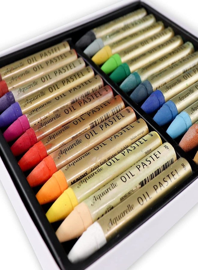 Hashi HA SHI Water-Soluble Oil Pastels for Artists 24 Colors, Soft Watercolor Art Sticks, Premium Art Supplies for Adult Artists - Blendable, Vibrant Hues, Korean Craftsmanship - Image 5