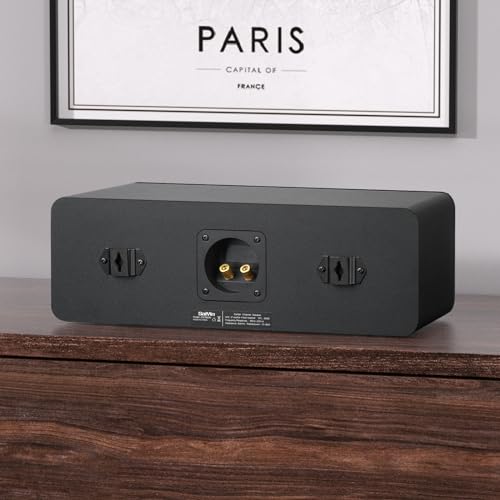 Saiyin Center Channel Speaker,Dual 4-Inch Woofers and Silk Tweeter, Crystal-Clear for Home Theater Dialogue,Passive, Wall Mountable, Single - Image 5
