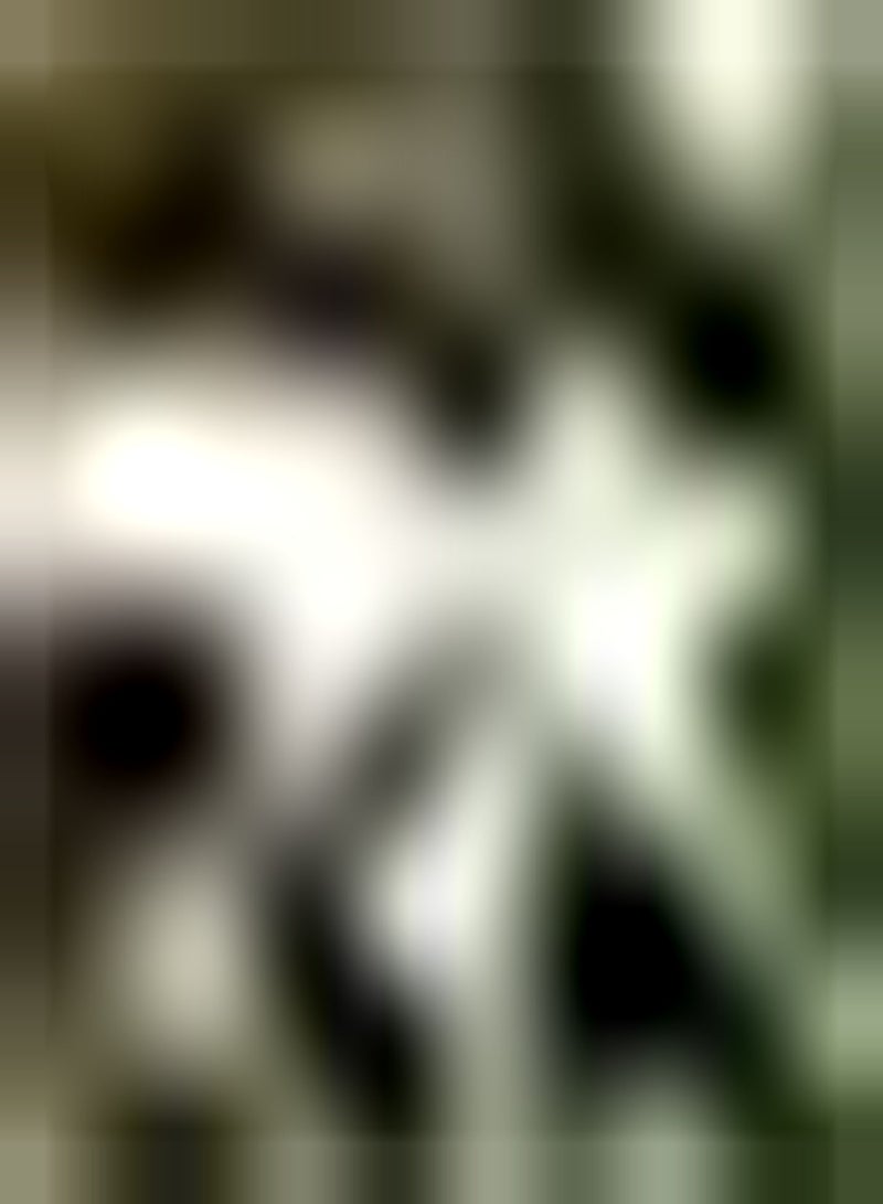 GGOOT 10pcs Witte Oxalis bollen geplant op de binnenplaats Kleine bloemen Rijke bladeren Attractie Favoriet Veel tuiniers Hoge sierwaarde - Image 1