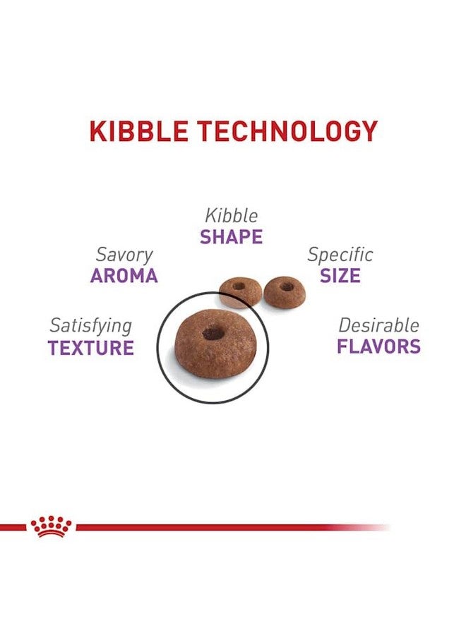 رويال كانين طعام جاف للقطط البالغة المعقمة/المخصية من رويال كانين، وزن الكيس 6 أرطال - Image 5