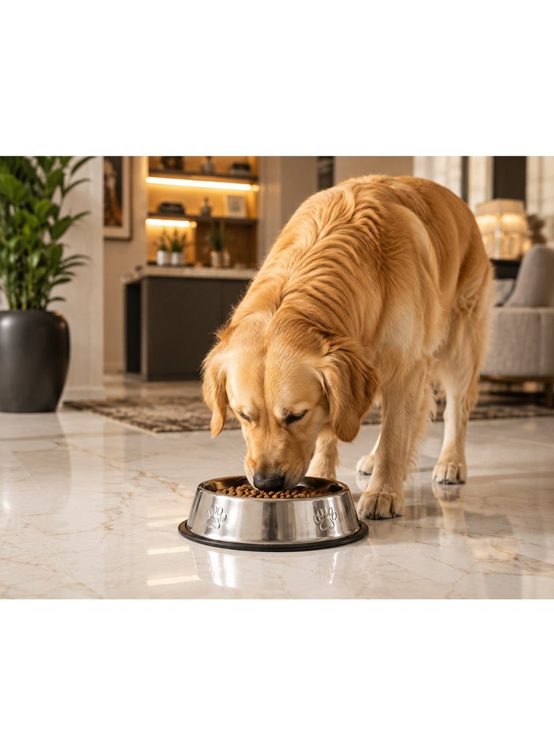 Stainless Steel Pet Food & Water Bowl with Non-Slip Rubber - Image 3