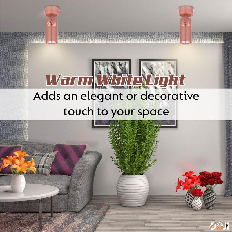 DOJI Rose Gold Finish Spot Lights Aluminium Focus Light Adjustable Head Spot Light for Wall Warmwhite 3 Watt - Image 3
