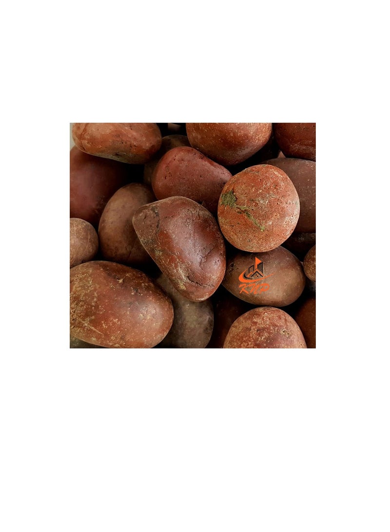 كنب حصى بني 3-5 سم - Image 3