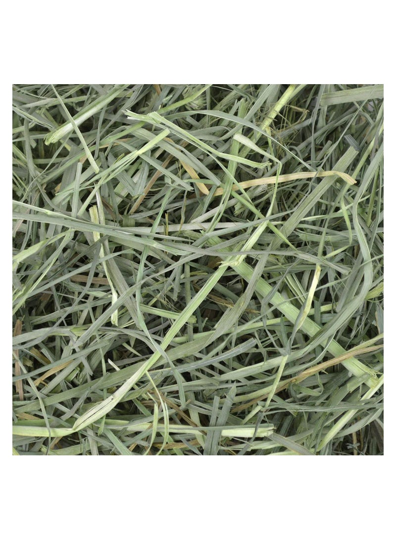 Oxbow Orchard Grass Hay for Small Pets 1.13 kg - Image 2