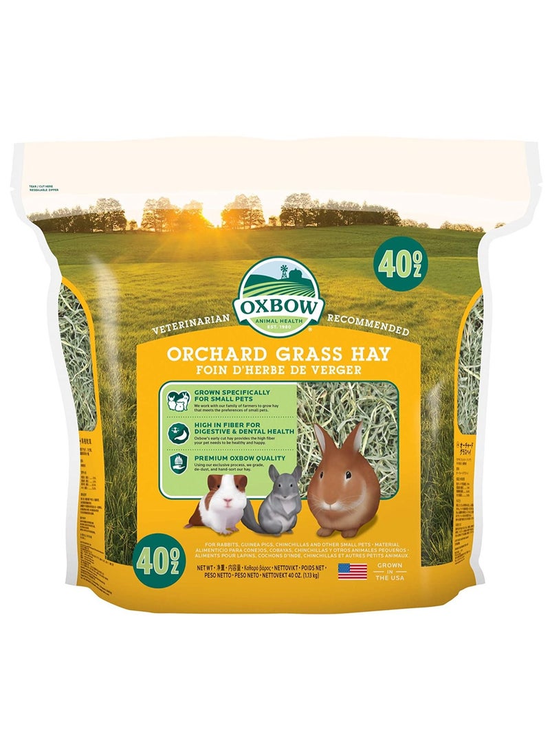 Oxbow Orchard Grass Hay for Small Pets 1.13 kg - Image 1